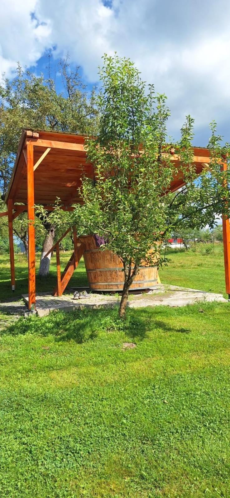 Pensiunea Agroturistica Ica Валя-Дрэганулуй Экстерьер фото
